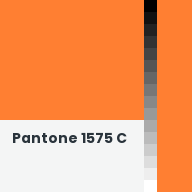 Color chip: Pantone 1575 C