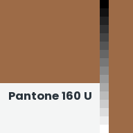 Color chip: Pantone 160 U