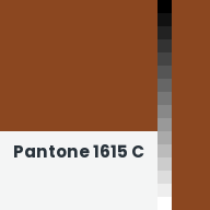 Color chip: Pantone 1615 C