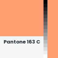 Color chip: Pantone 163 C