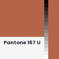 Color chip: Pantone 167 U