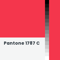 Color chip: Pantone 1787 C