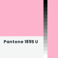 Color chip: Pantone 1895 U