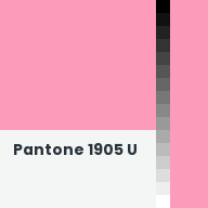 Color chip: Pantone 1905 U