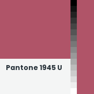 Color chip: Pantone 1945 U