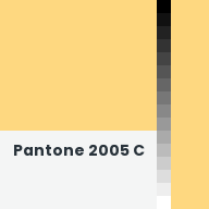 Color chip: Pantone 2005 C