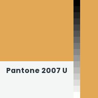 Color chip: Pantone 2007 U