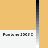 Color chip: Pantone 2008 C