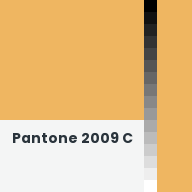 Color chip: Pantone 2009 C