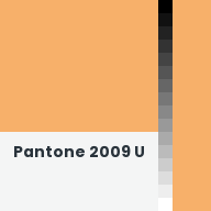 Color chip: Pantone 2009 U