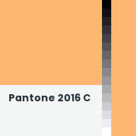 Color chip: Pantone 2016 C