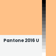 Color chip: Pantone 2016 U