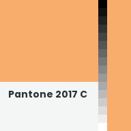 Color chip: Pantone 2017 C