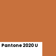Color chip: Pantone 2020 U
