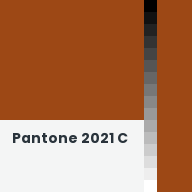 Color chip: Pantone 2021 C