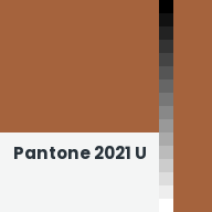 Color chip: Pantone 2021 U