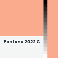 Color chip: Pantone 2022 C