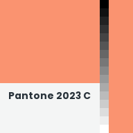 Color chip: Pantone 2023 C