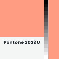Color chip: Pantone 2023 U