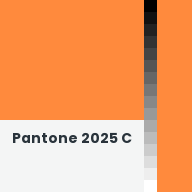 Color chip: Pantone 2025 C