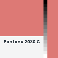 Color chip: Pantone 2030 C