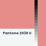 Color chip: Pantone 2030 U