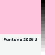 Color chip: Pantone 2036 U