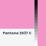 Color chip: Pantone 2037 C