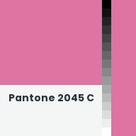 Color chip: Pantone 2045 C