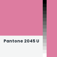 Color chip: Pantone 2045 U