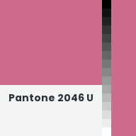 Color chip: Pantone 2046 U