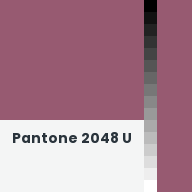 Color chip: Pantone 2048 U