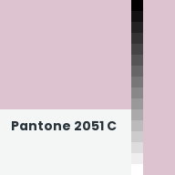 Color chip: Pantone 2051 C