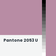 Color chip: Pantone 2053 U