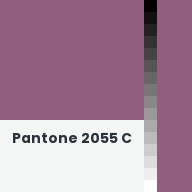 Color chip: Pantone 2055 C