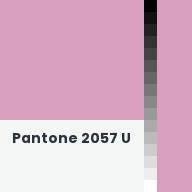 Color chip: Pantone 2057 U