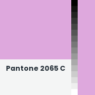 Color chip: Pantone 2065 C