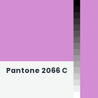 Color chip: Pantone 2066 C