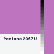 Color chip: Pantone 2067 U