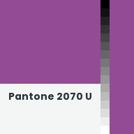 Color chip: Pantone 2070 U