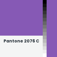 Color chip: Pantone 2076 C