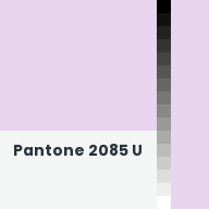 Color chip: Pantone 2085 U
