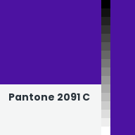 Color chip: Pantone 2091 C