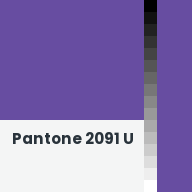 Color chip: Pantone 2091 U