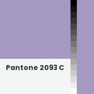 Color chip: Pantone 2093 C