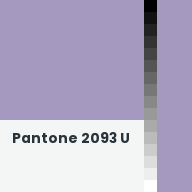 Color chip: Pantone 2093 U