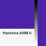 Color chip: Pantone 2098 C