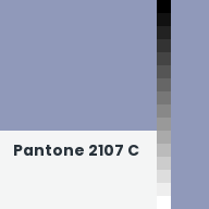 Color chip: Pantone 2107 C
