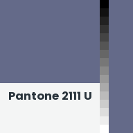 Color chip: Pantone 2111 U