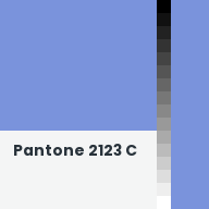 Color chip: Pantone 2123 C